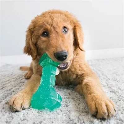 Kong Squeezz Dental Stick Mintgroen - Image 2