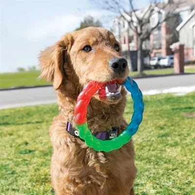 Kong Twistz Ring - Image 2