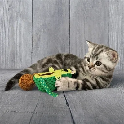 Kong Wrangler Avocato - Image 2