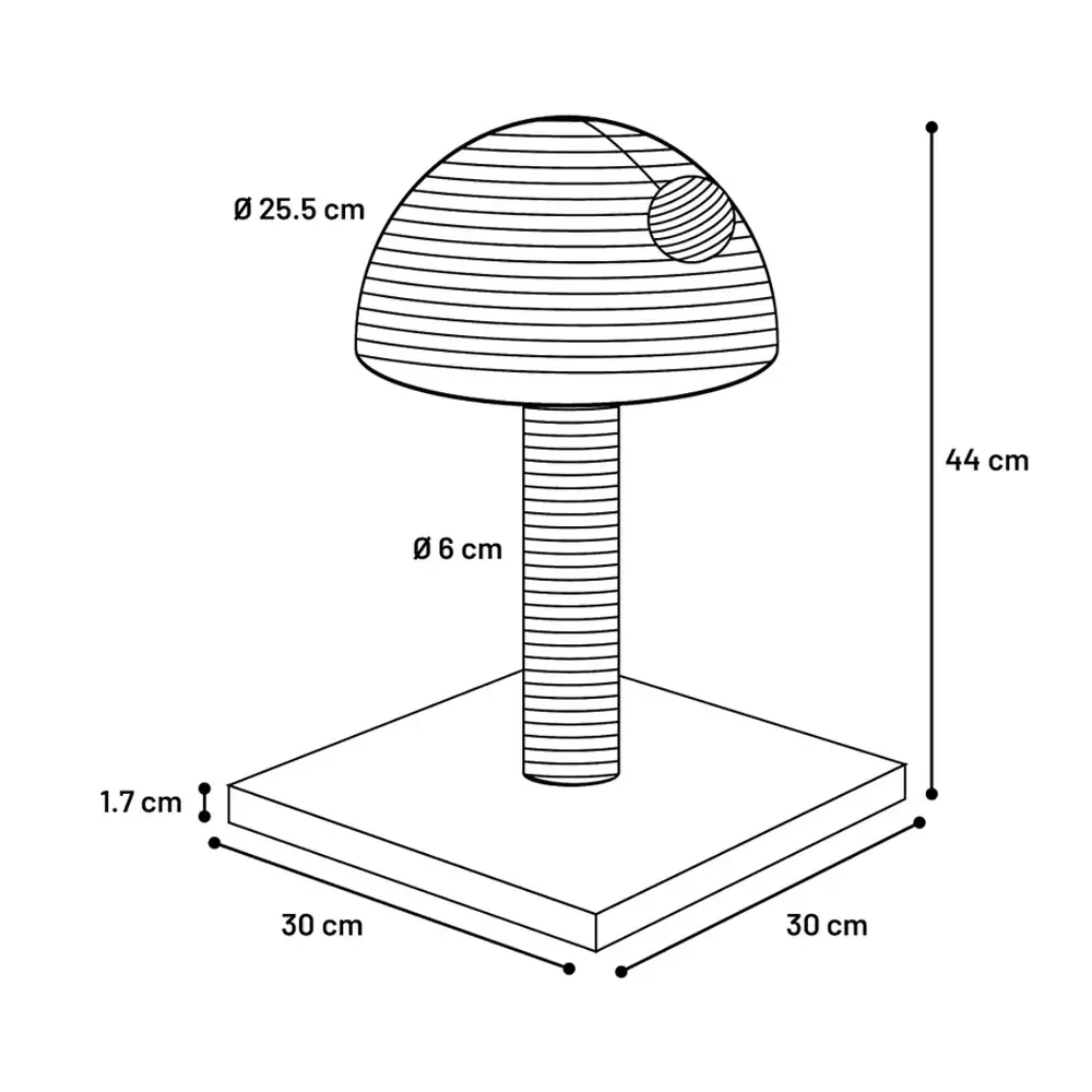 Krabpaal – Asha - Image 2