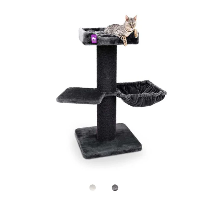 Krabpaal Maine Coon 117