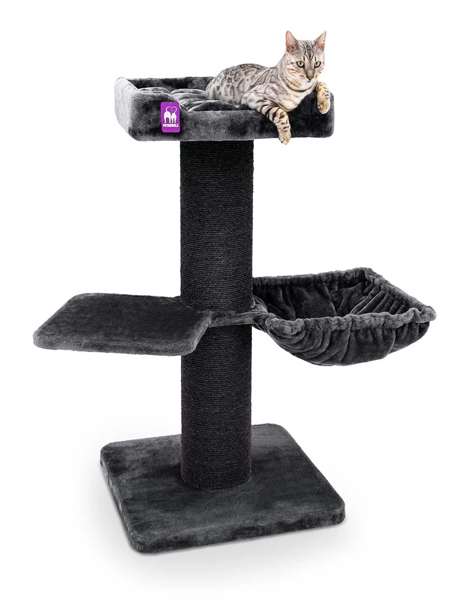 Krabpaal Maine Coon 117 - Image 2