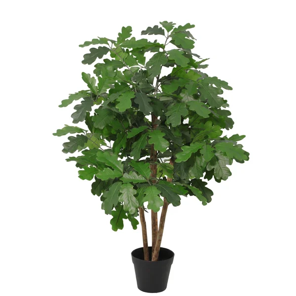 Kunst Eikenboom