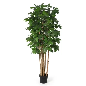 Kunst Eikenboom