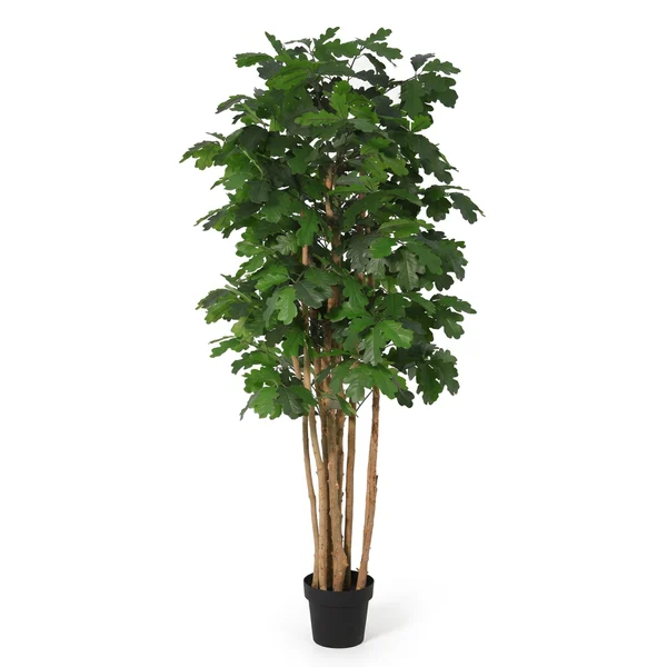 Kunst Eikenboom