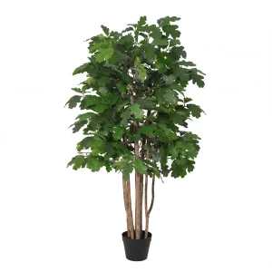 Kunst Eikenboom