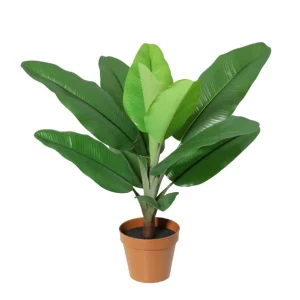 Kunst Philodendron Jungle King