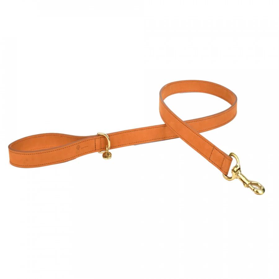 LEIBAND HOND NUBU LICHTBRUIN 120CMX25MM