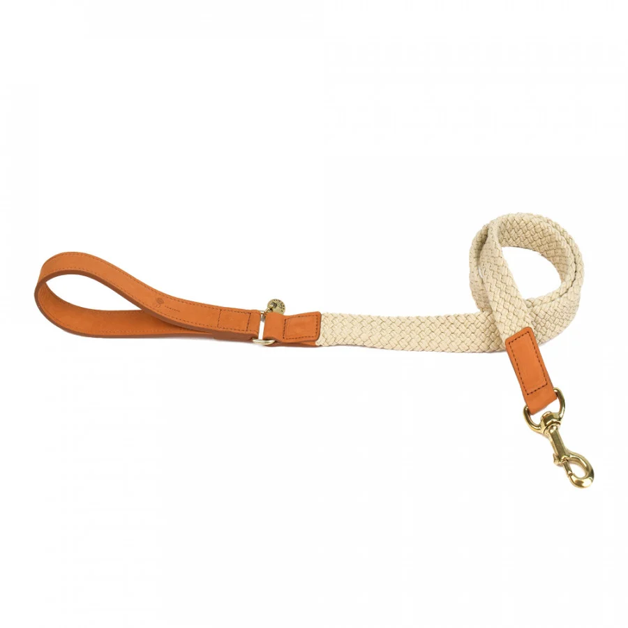 LEIBAND HOND TAU LICHTBRUIN 120CMX25MM