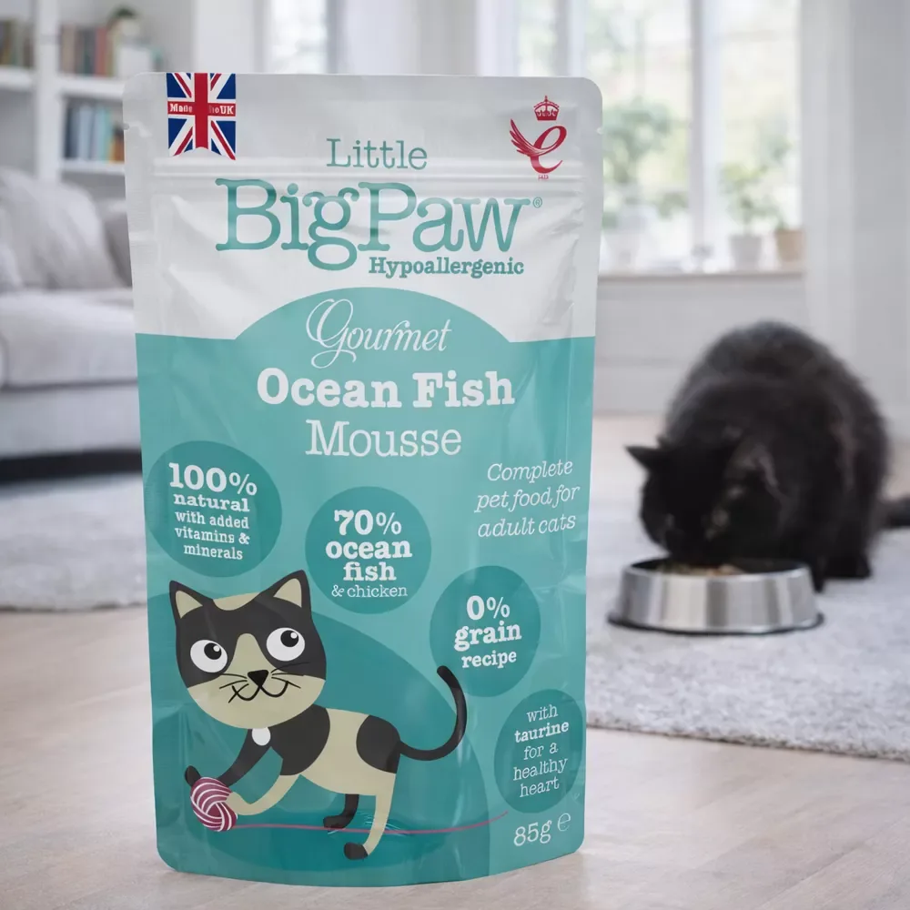 Little Big Paw Gourmet Ocean Fish Mousse for Cats - Image 2