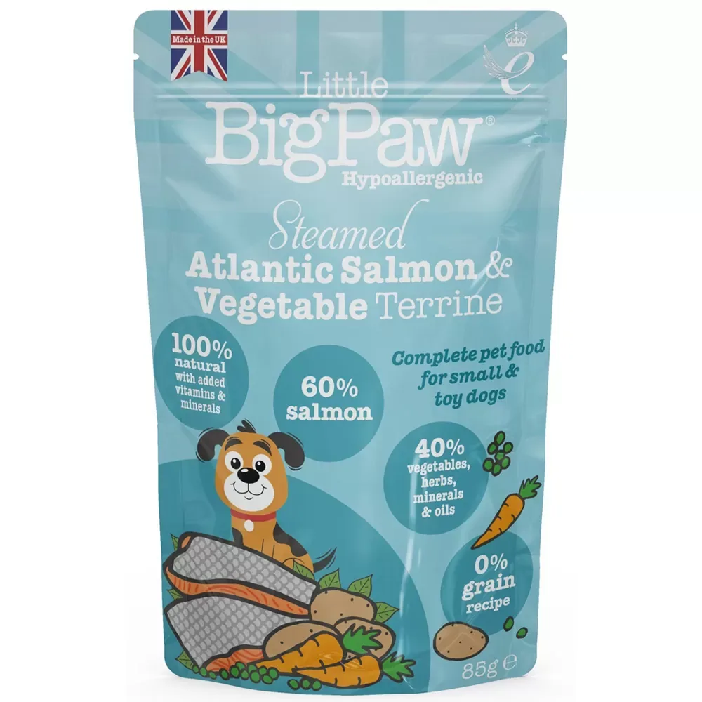 Little Big Paw Salmon with Vegetables