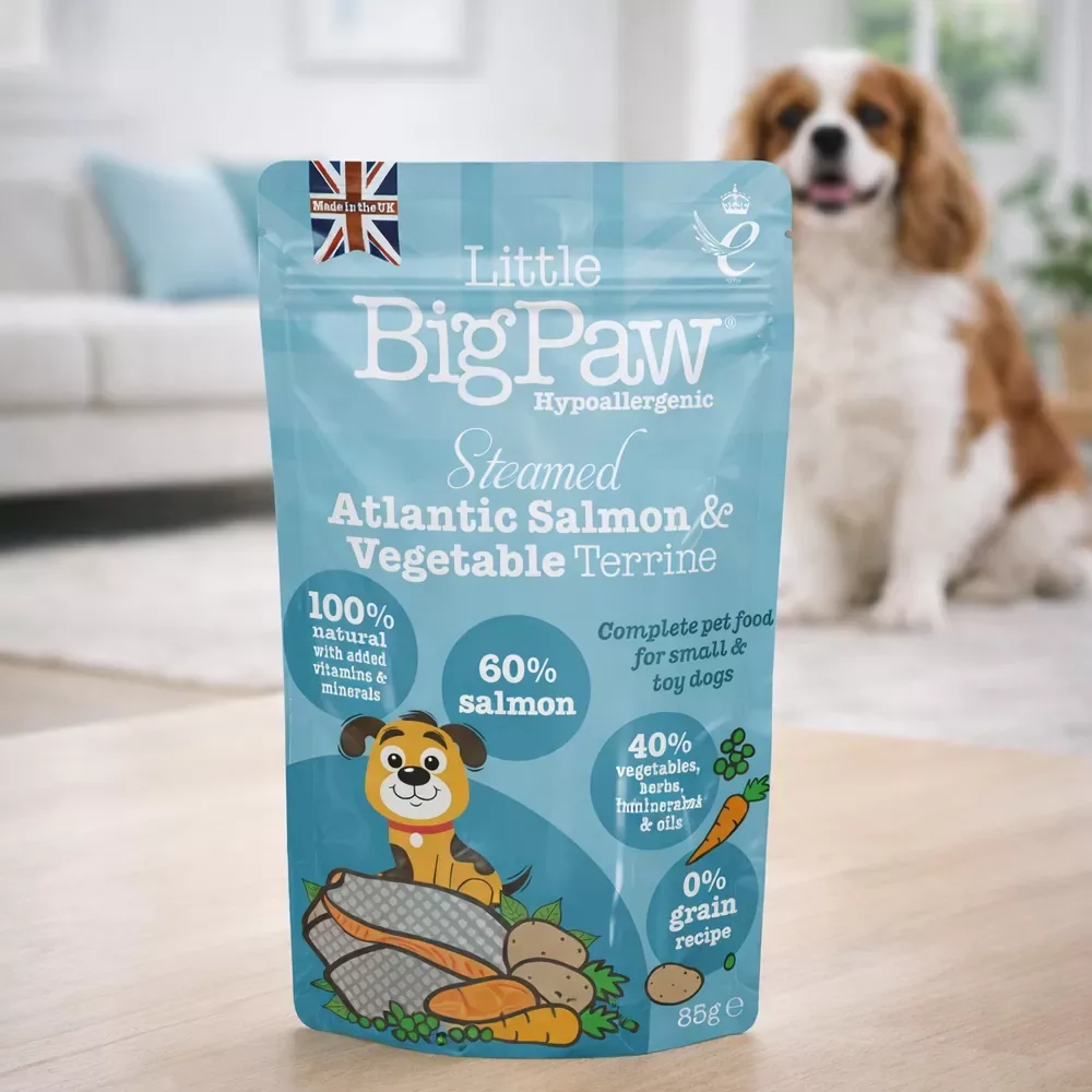 Little Big Paw Salmon with Vegetables - Image 2