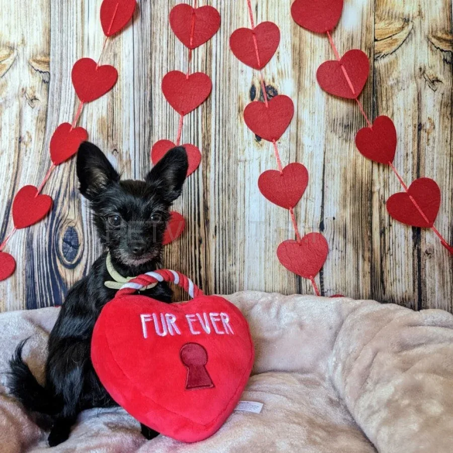 LULUBELLES - Power Plush Fur Ever Lock Heart - Image 2