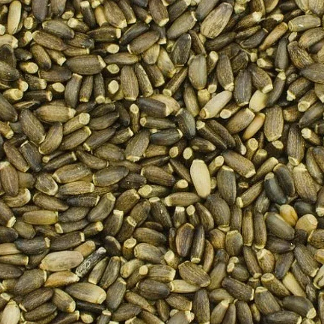 Mariadistelzaad