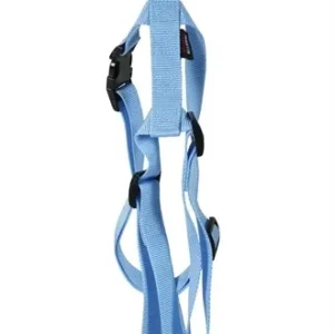 Martin Hondentuig Basic Nylon 35x50x1,6 cm - Blauw