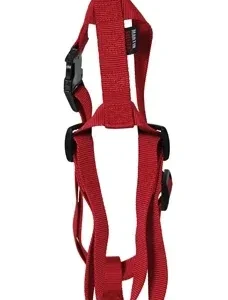 Martin Hondentuig Basic Nylon 35x50x1,6 cm - Rood