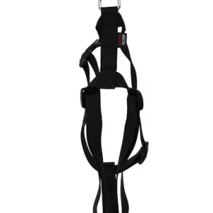 Martin Hondentuig Basic Nylon 50x70x2 cm - Zwart