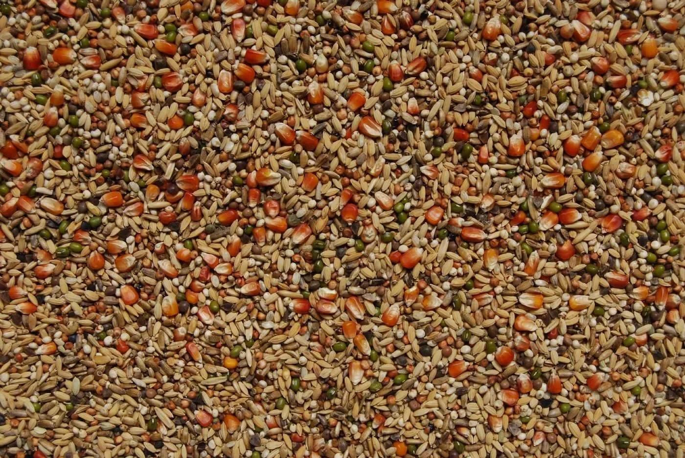 Matador Premium Detox (ontgiften) - Image 2