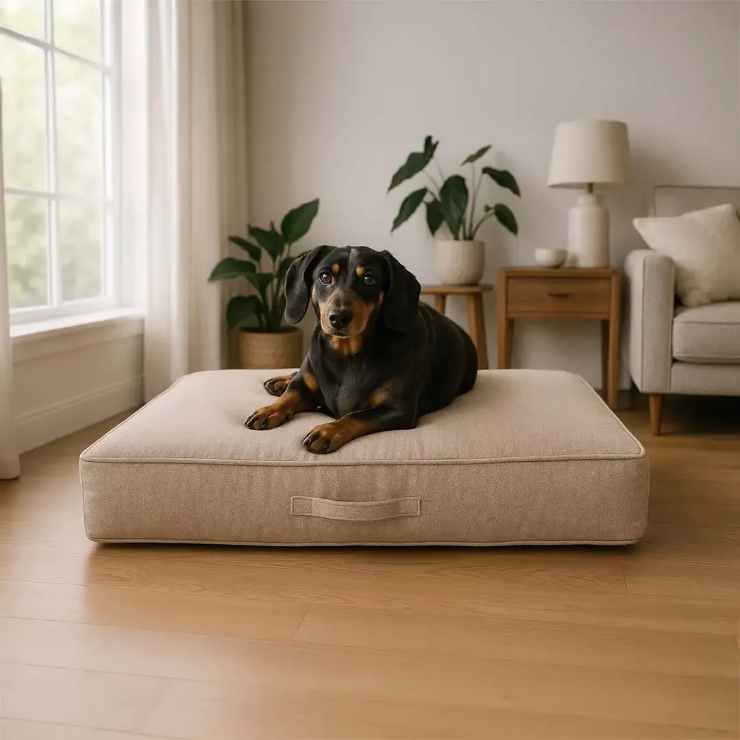 Matras Duratex ortho springveren S-60x40x14cm beige - Image 2