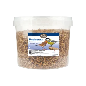 Meelwormen 700 g