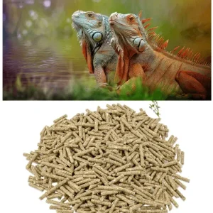 Metazoa Fitright groene leguaan