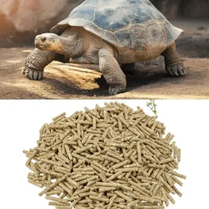 Metazoa Fitright Landschilpaddenkorrel