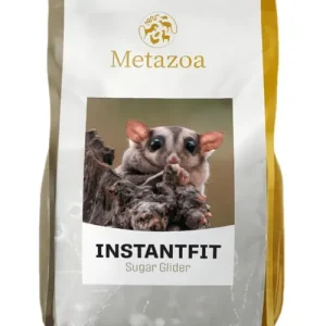 Metazoa InstantFit Sugar Glider