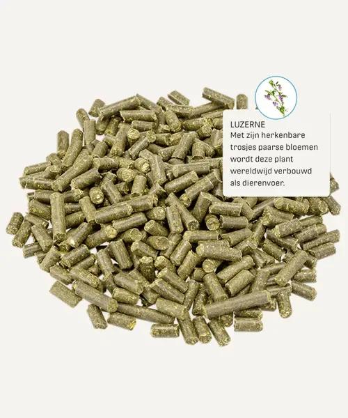 Metazoa MuscleFit HP23 - Image 2