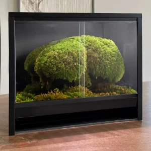 Mini Ecosysteem Canopy