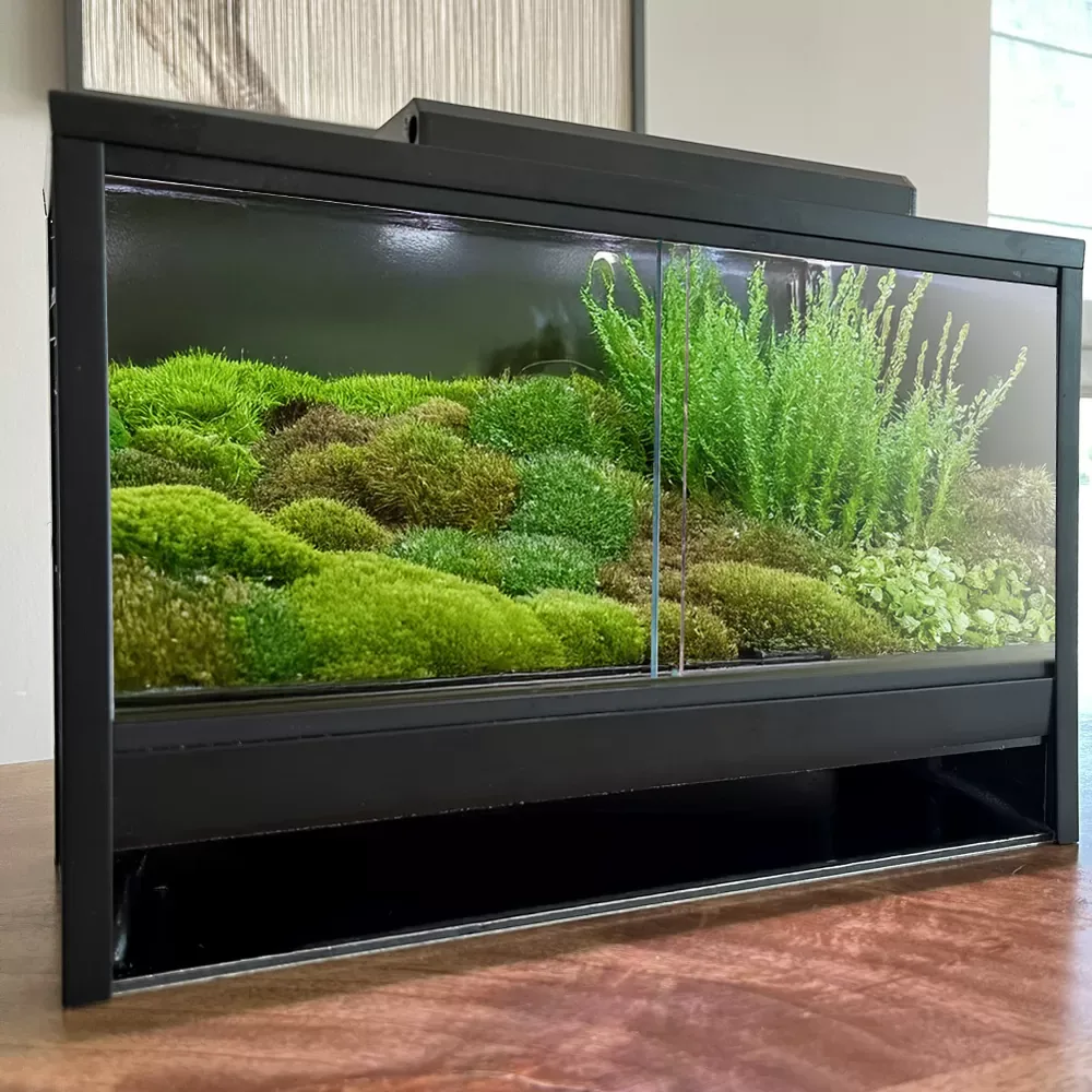 Mini Ecosysteem Mossarium