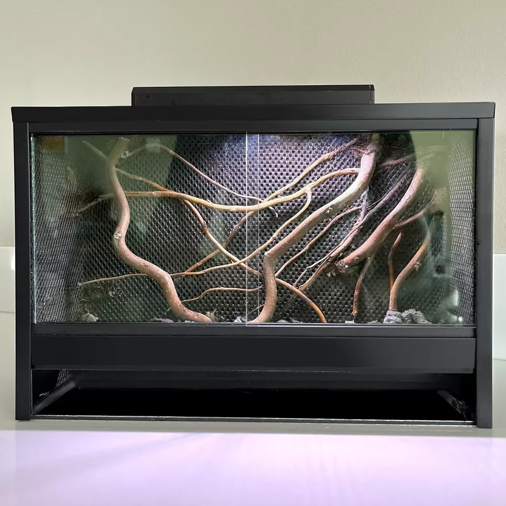 Mini Ecosysteem Mossarium - Image 2