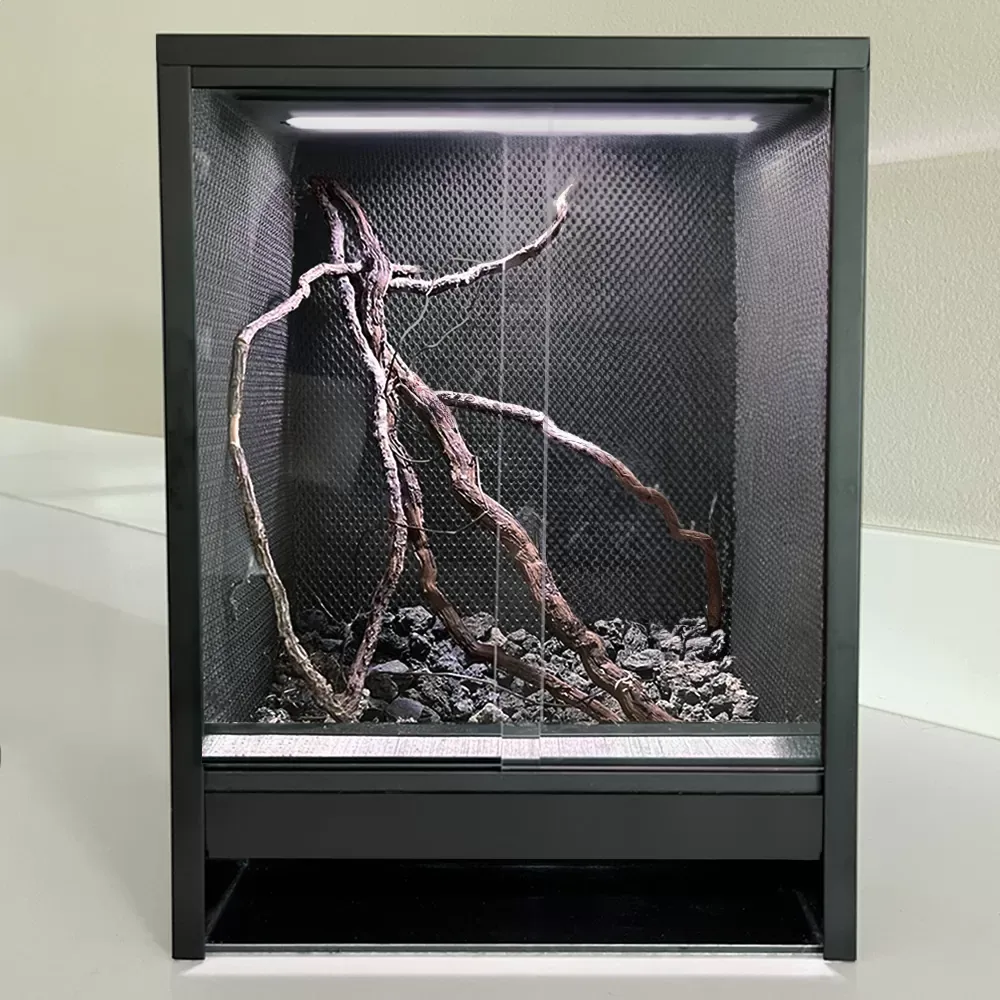 Mini Ecosysteem Rainforest - Image 2