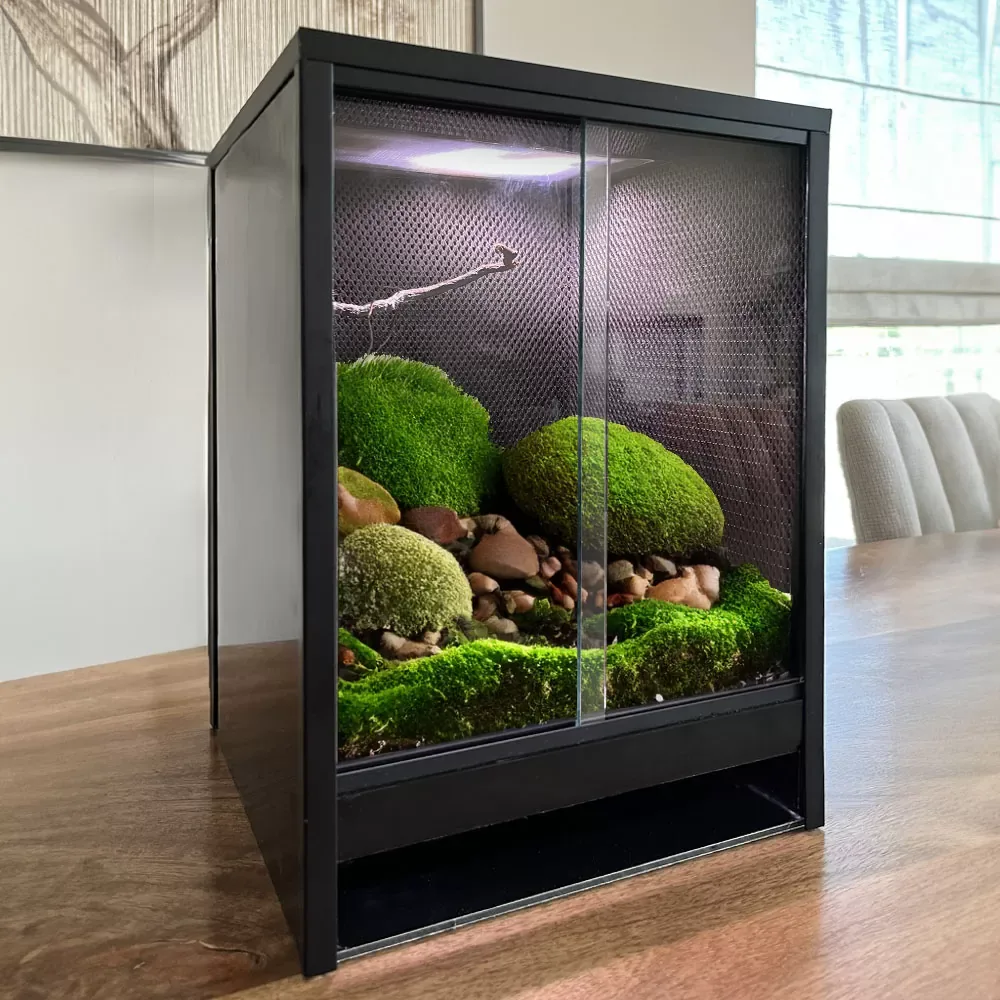 Mini Ecosysteem Rainforest