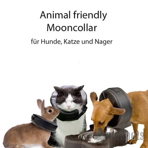 Mooncollar | Bestellen | Diervriendelijke beschermkraag