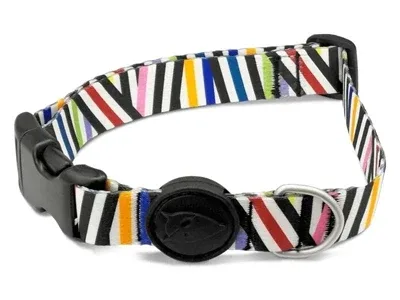 Morso Halsband Hond Gerecycled Spaghetti Incident 43x70x2,5 cm