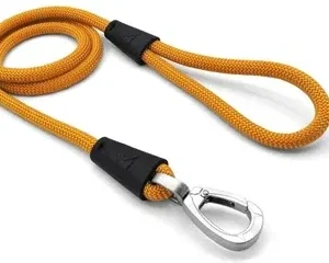Morso Hondenriem Regular Rope Gerecycled 120x1 cm - Gold