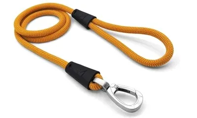 Morso Hondenriem Regular Rope Gerecycled 120x1 cm - Gold