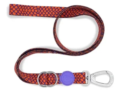 Morso Hondenriem Verstelbaar Gerecycled Urban Lizard 65x200x2,5 cm 20 - 80 kg