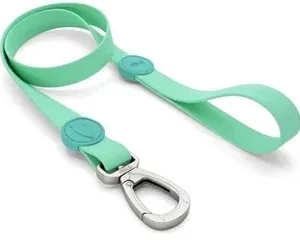 Morso Hondenriem Waterproof Gerecycled Carribean 100x2,5 cm - Green