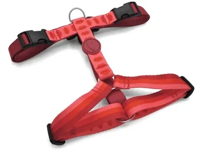 Morso Hondentuig H Tuig Gerecycled Lipstick 40-55 cm - Roze
