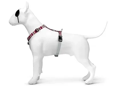 Morso Hondentuig H Tuig Gerecycled Skyline 50x70x1,5 cm - Rood - Image 2