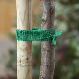 Nature Boomband - 200x4cm - Touw en Bindmaterialen