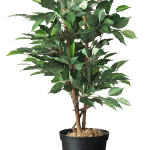 Nature Plantcontainer - Kweekbenodigdheden - Zwart - 17.5x19x17.5 cm