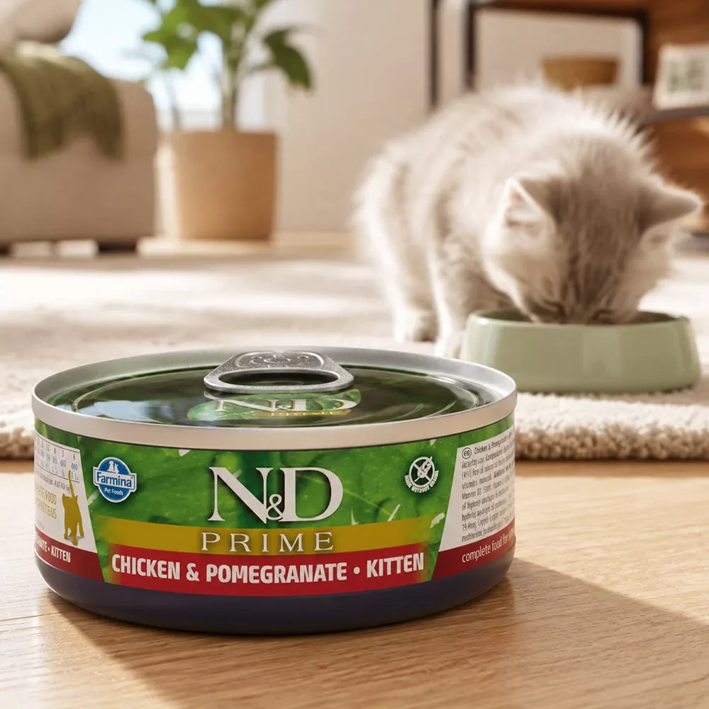 N&D Prime Wet Kitten Chicken - Image 2