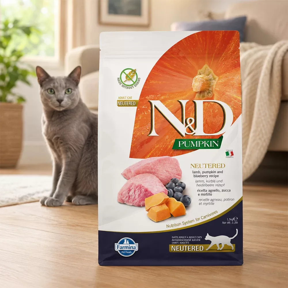 N&D Pumpkin Neutered Cat Lamb - Image 2