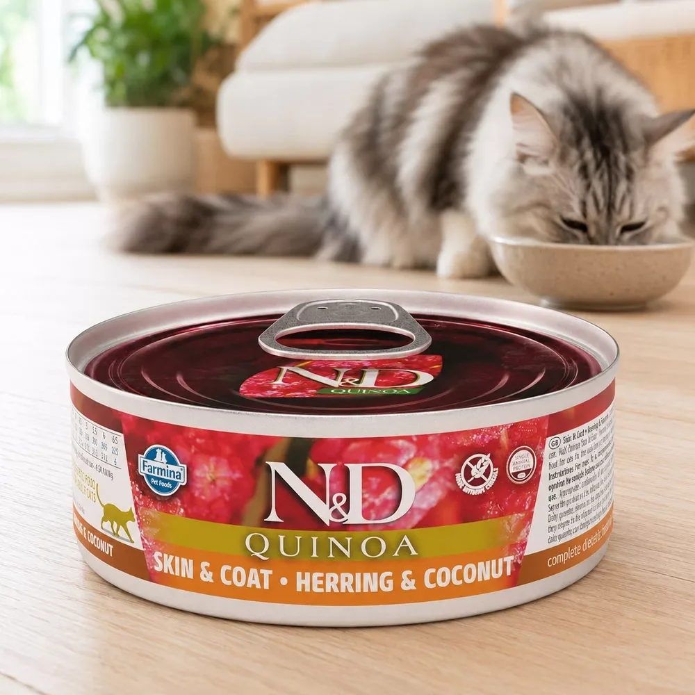N&D Quinoa Wet Cat Skin and Coat Herring - Image 2