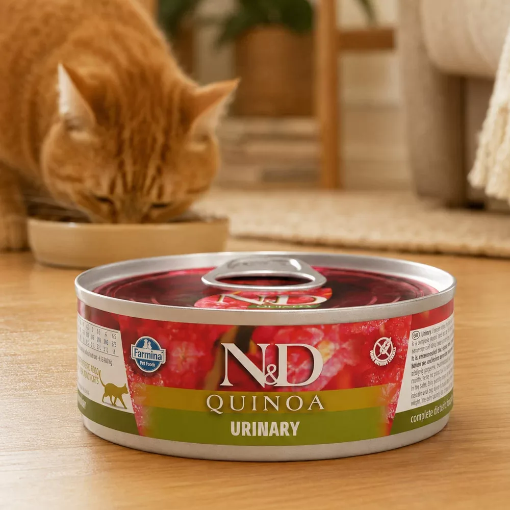 N&D Quinoa Wet Cat Urinary Duck - Image 2