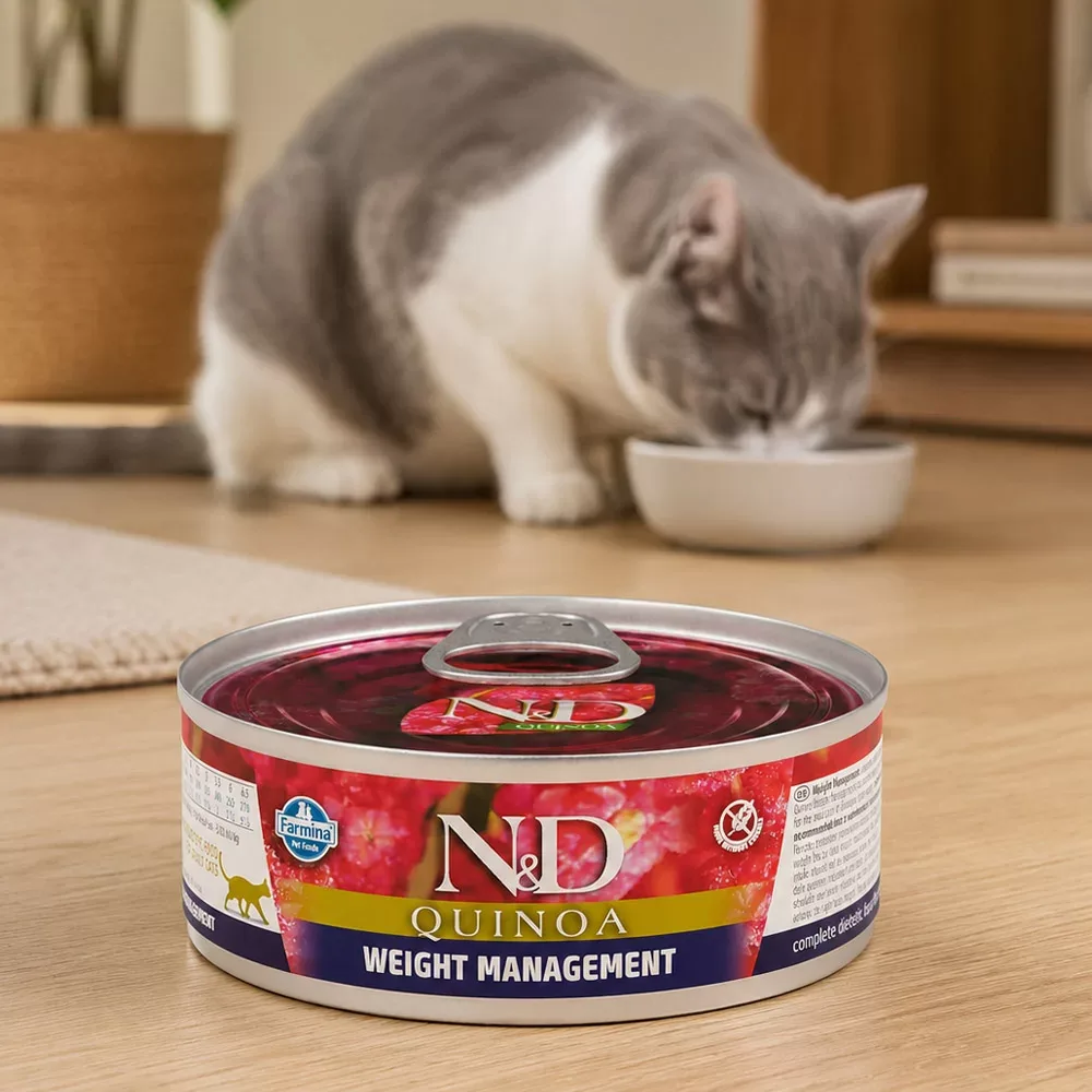N&D Quinoa Wet Cat Weight Management Lamb - Image 2