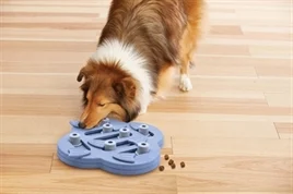 Nina Ottosson Dog Hide N Slide