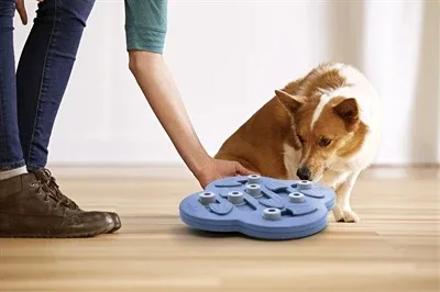 Nina Ottosson Dog Hide N Slide Composiet 33x33x5 cm - Image 2
